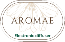 Electronic diffuser
